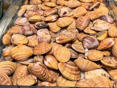 -川骄海鲜自助(亚运村店)
