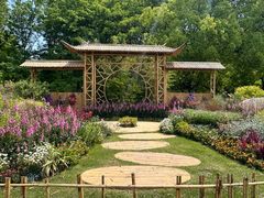 -上海共青森林公园