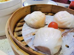 金牌虾饺皇-点都德(汇胜楼店)