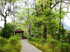 -广悦华阳朔河畔度假酒店(十里画廊遇龙河店)