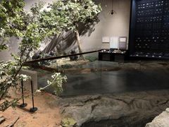 -北京周口店北京人遗址博物馆