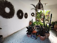 -云里小坐·小院里·团建·宴请·下午茶(三圣乡店)