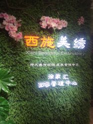 -西施无菌半永久纹绣眉眼影唇轻增发纹发际线