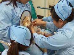 -康乐宝动物医院