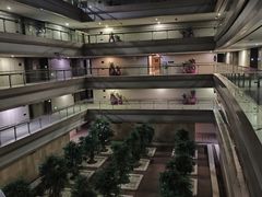 -南京禄口机场雅高铂尔曼大酒店