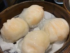 -高第街56号餐厅(泰安万达店)
