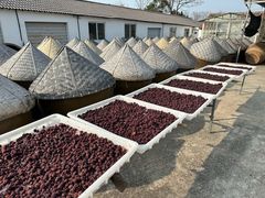 -苏州市吴中区光福窑上花果蜜饯厂