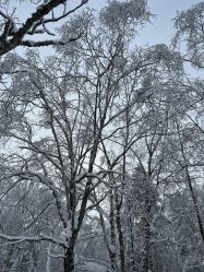 -大秃顶子山(雪谷店)