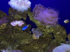 -石家庄极地海洋世界