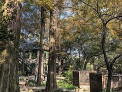 -莫干山风景区