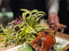 -蝶舍·MAISON PAPILLON