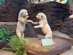 -陕西自然博物馆