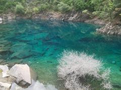 -叠溪松坪沟景区