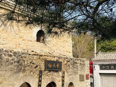 -白水寺森林公园