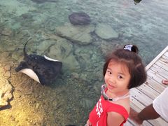 -中央格兰德岛温泉度假酒店 - 全包