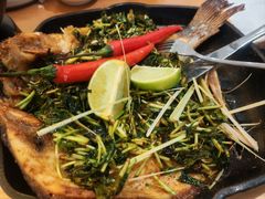 -云海肴·汽锅鸡·云南菜(东坝金隅店)