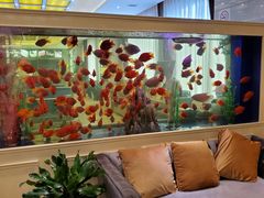 -骏莱海鲜鱼港(五角场店)