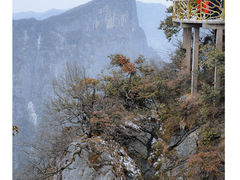 -张家界天门山国家森林公园
