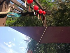 -白马涧龙池景区