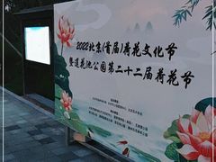 -莲花池公园