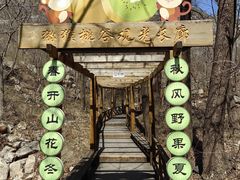 -大岭沟猕猴桃谷风景区