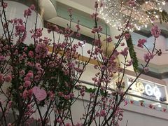 -大家乐(广州天河城六楼店)