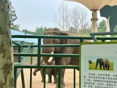 -秦皇岛野生动物园