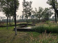 -东郊湿地公园