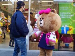 -line friends(明洞旗舰店)