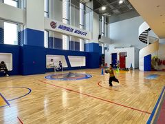 -翼速篮球·儿童体适能·中考体育(鲁能城店)