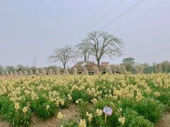 -盈香心动乐园