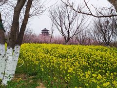 -古柏渡飞黄旅游区