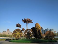 -莲花池公园
