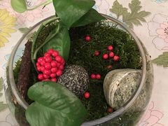 -秦美花卉(天朗·莱茵小城2期店)