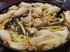 -蘑统田下·野生菌火锅