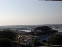 -大湾区中央湿地公园