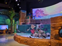 -沈阳海洋探索中心