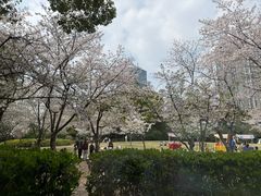 -虹之森·小馆