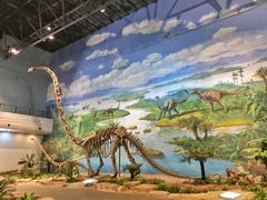 -自贡恐龙博物馆