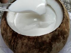 -椰爺爺·椰子冻砵仔糕