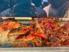 -小俩口烧烤东北菜(双井店)