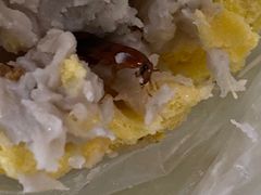 -罗森尼娜(德思勤店)