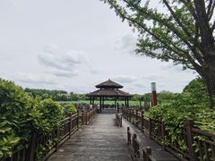 -自然谷恐龙园