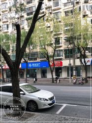-金太子形象设计