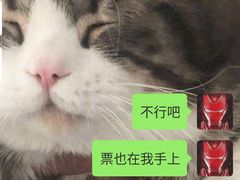-SFC上影影城(新世界店)