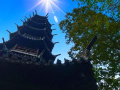 -上海月湖雕塑公园
