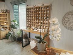 -龙坞茶村