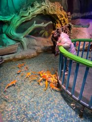 -酷嗒动物文化乐园(cutezoo西溪乐天城店)