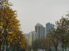 -洲头咀公园