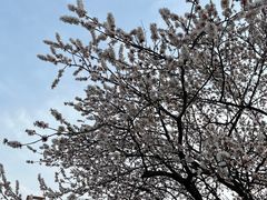 -中国计量大学(西校区)